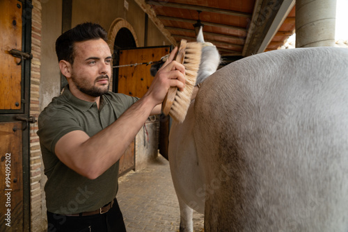 Groom brushing the coat of a white horse in a stable. copy space on the right. horse care concept