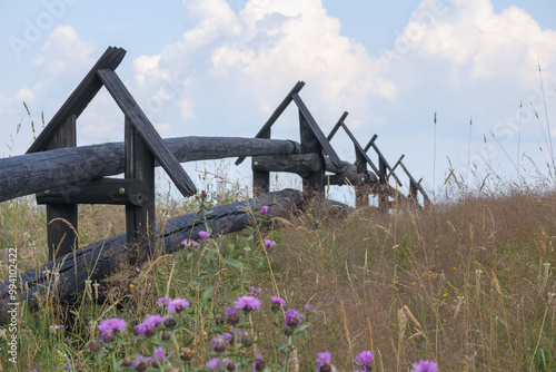 
small country wooden fence with flowers in the meadow photo