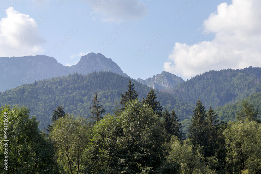clouds over mountains with conifers in background clouds over mountains with conifers in background