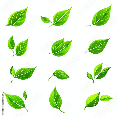 Set of icon green leaves icons on a white background. Vector illustration.