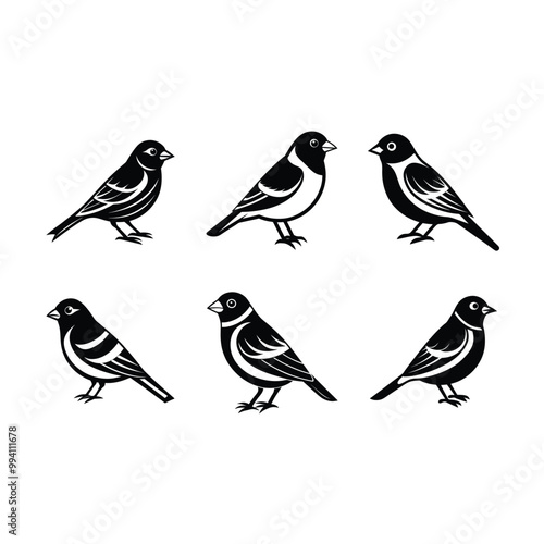 Wallpaper Mural  finch on white background, instant Digital Download. Illustration for prints on bags, posters Torontodigital.ca