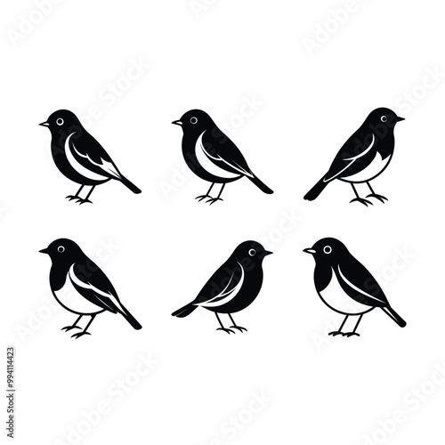 Wallpaper Mural Robin Bird Vector  on white background, instant Digital Download. Illustration for prints on bags, posters Torontodigital.ca