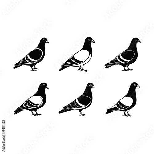 pigeon  on white background, instant Digital Download. Illustration for prints on bags, posters