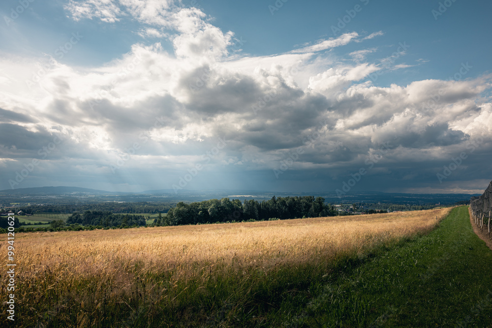 Obraz premium Weite Landschaft mit bewölktem Himmel und goldenen Feldern unter dramatischem Licht