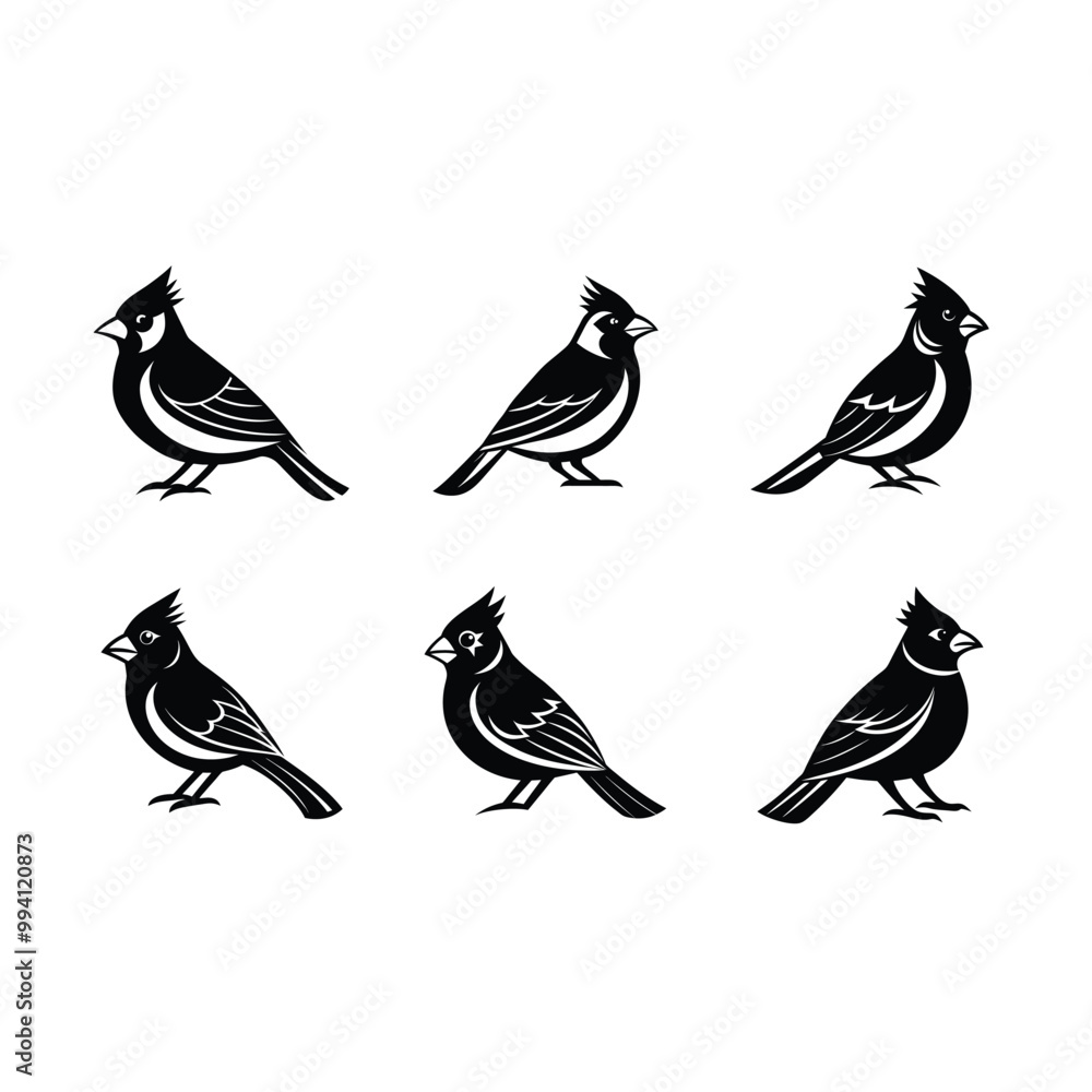 Fototapeta premium cardinal on white background, instant Digital Download. Illustration for prints on bags, posters