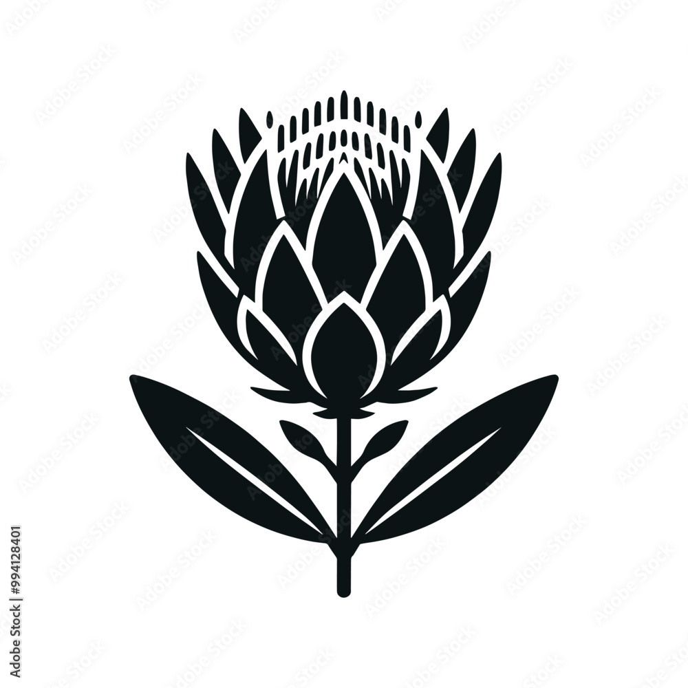 Protea. Beautiful flower. Logo, emblem, icon, sign. simple vector illustration. Black Protea. Beautiful flower. Logo, emblem, icon, sign. simple vector illustration. Black