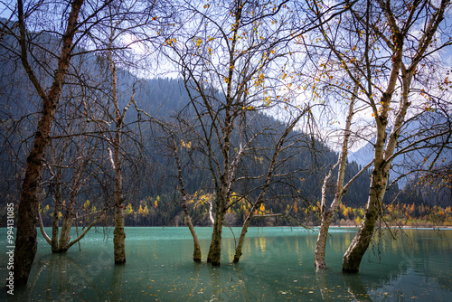 Lake in the mountains photo