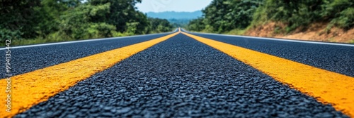 A low angle perspective of a paved road with two double yellow lines, disappearing into the horizon, surrounded by trees and lush green vegetation photo