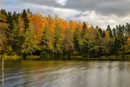 Herbstwald am Seeufer mit reflektierendem Wasser unter bewölktem Himmel