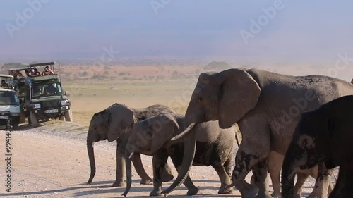Elephant Herd Crossing Road with Safari Vehicles in Amboseli National Park, Kenya Savannah