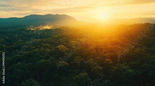 Golden Sunset Over Rainforest