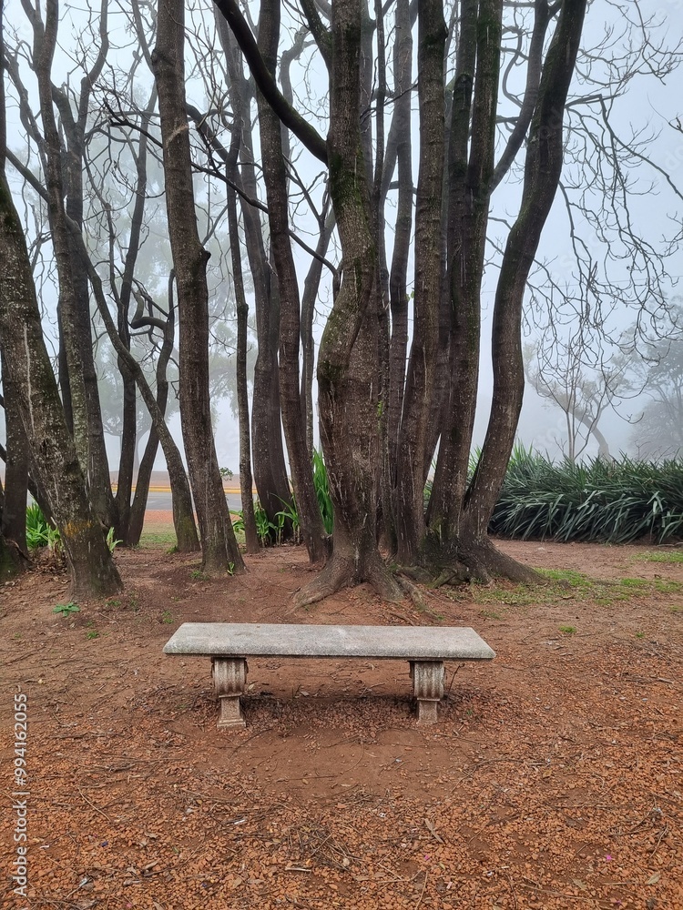 Concrete Bench in a Foggy Park Surrounded by Trees
Concrete Bench in a Foggy Park Surrounded by Trees