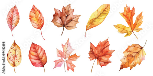 Set watercolor autumn leaves seasonal fall design resources elements isolated on transparent background