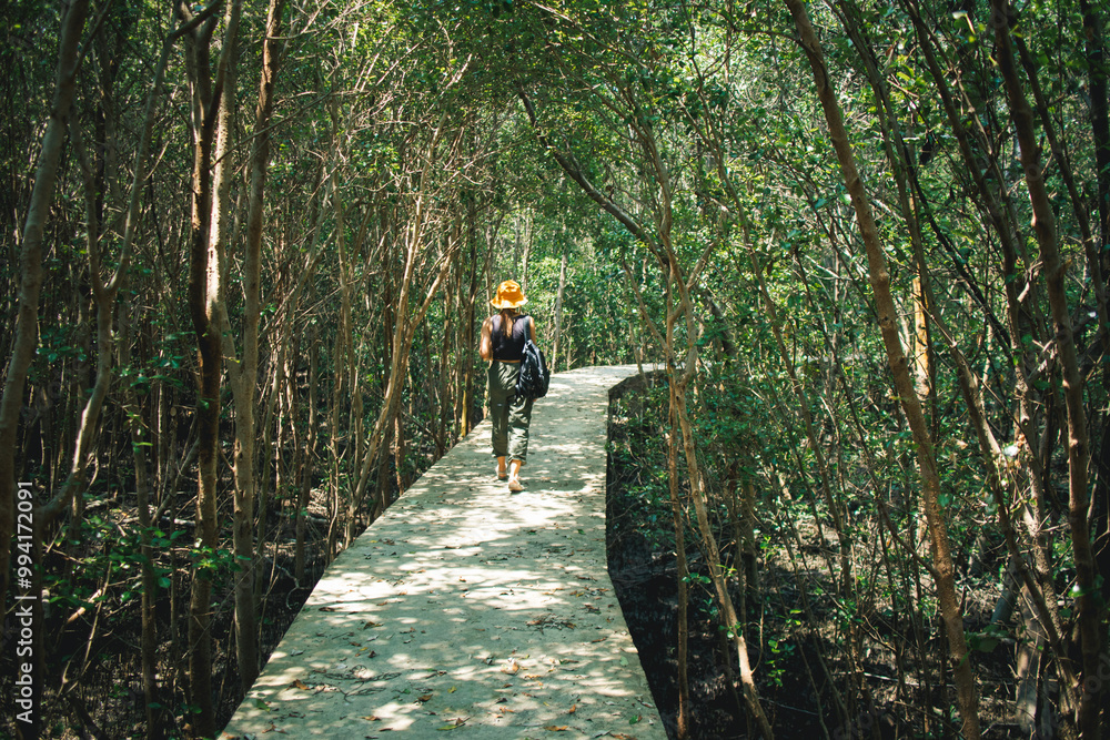 Asian Woman walks on the wooden bridge way, exploring mangrove forest. Asian Woman walks on the wooden bridge way, exploring mangrove forest.