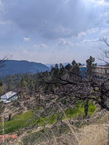 hut in a hilly landscape 