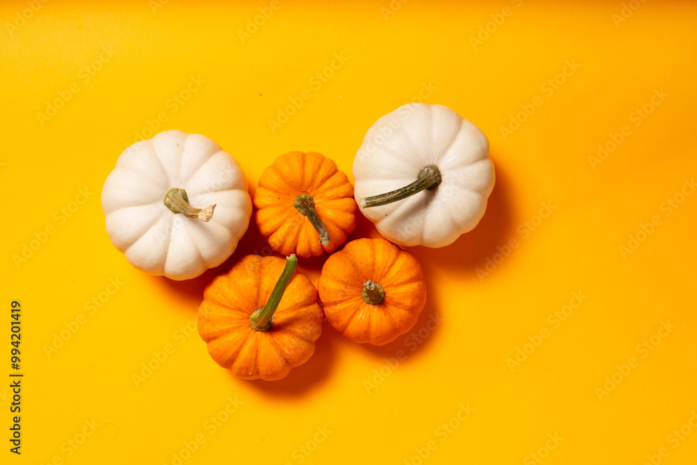 pumpkin on table pumpkin on table