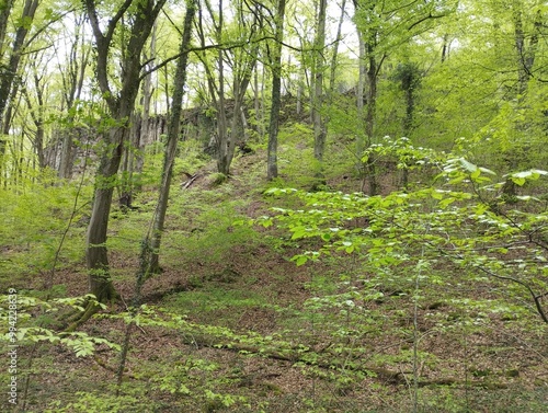 Little Switzerland - Mullerthal (Luxembourg)