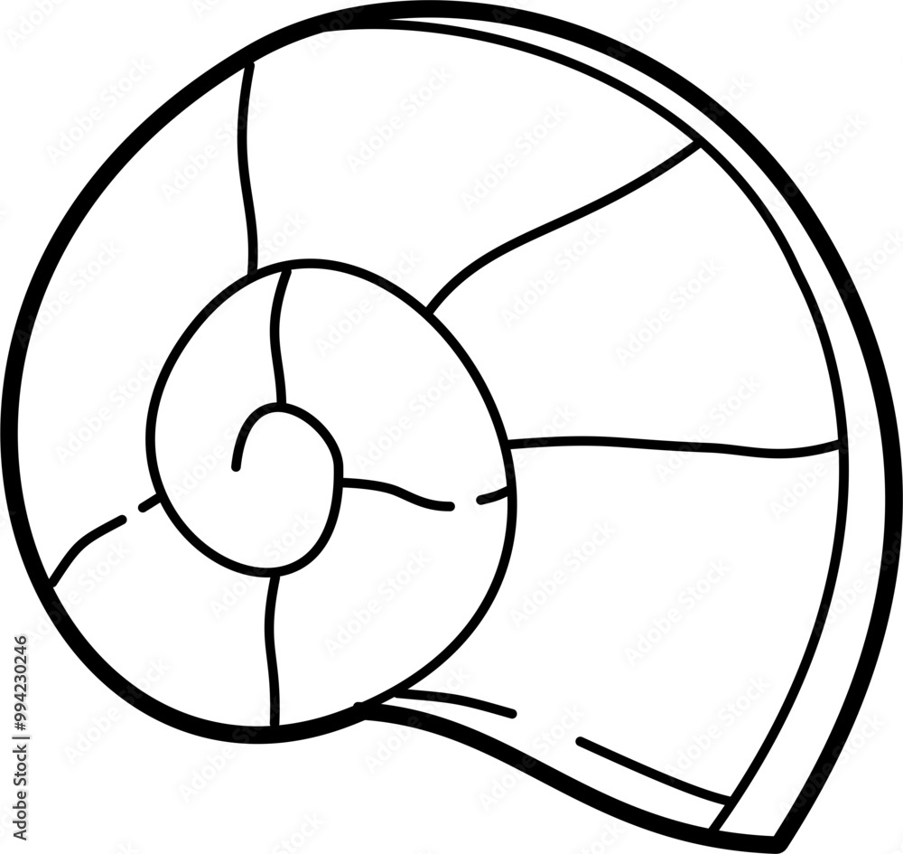 Spiral shell outline doodle illustration vector Spiral shell outline doodle illustration vector
