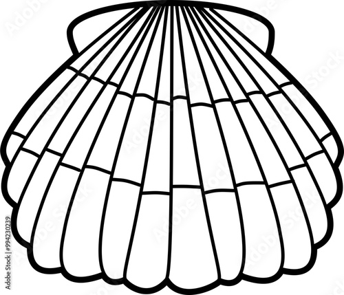 Scallop shell outline doodle illustration vector