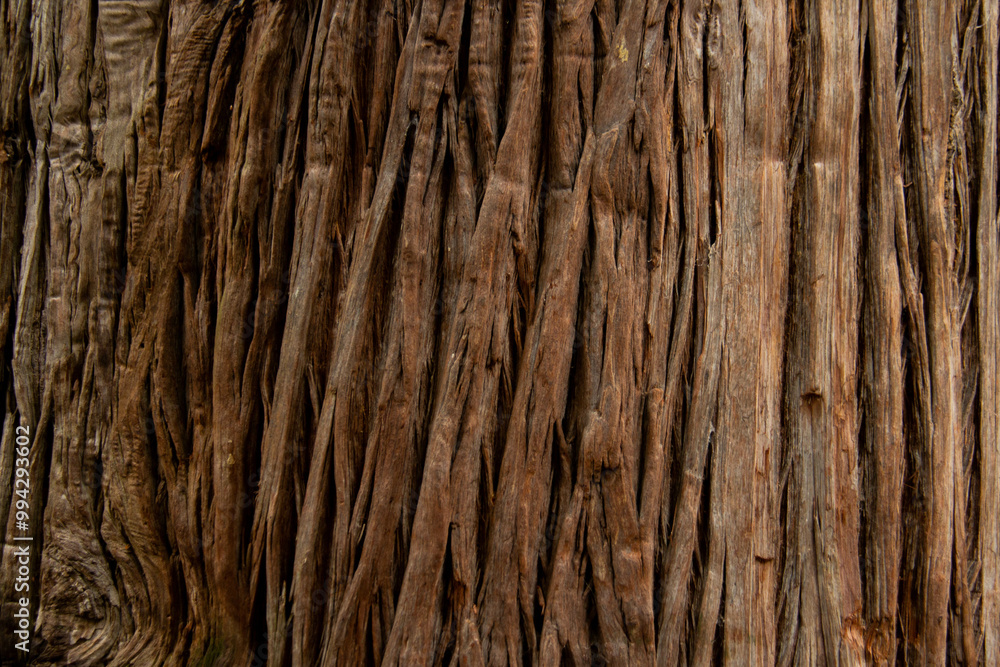 Closeup of Textured Tree Bark Surface for Nature and Rustic Design Closeup of Textured Tree Bark Surface for Nature and Rustic Design