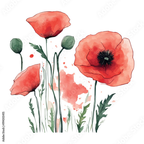 Red, blue, yellow poppy flower watercolor illustration vector. Meadow wild blossom set, field blooming plants clip art. Green buds and leaves