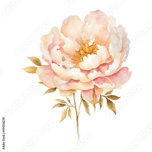 White-pink peony with gold Watercolor vector. Botanical flower on an isolated white background for your design, vector peony, pink peony