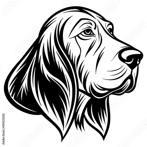 bloodhound head side view minimalist vector illustration 