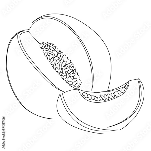 One continuous single drawing line art flat doodle food, illustration, melon, fruit, slice, vitamin. Isolated image hand draw contour on a white background

