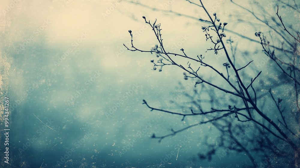 A dreamy, out-of-focus scene with visible film grain, scratches, and faded vignette edges, Screen filter A dreamy, out-of-focus scene with visible film grain, scratches, and faded vignette edges, Screen filter