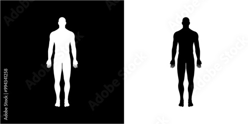 slihouette a body human stand up on a black background and transparent, premium vector body photo