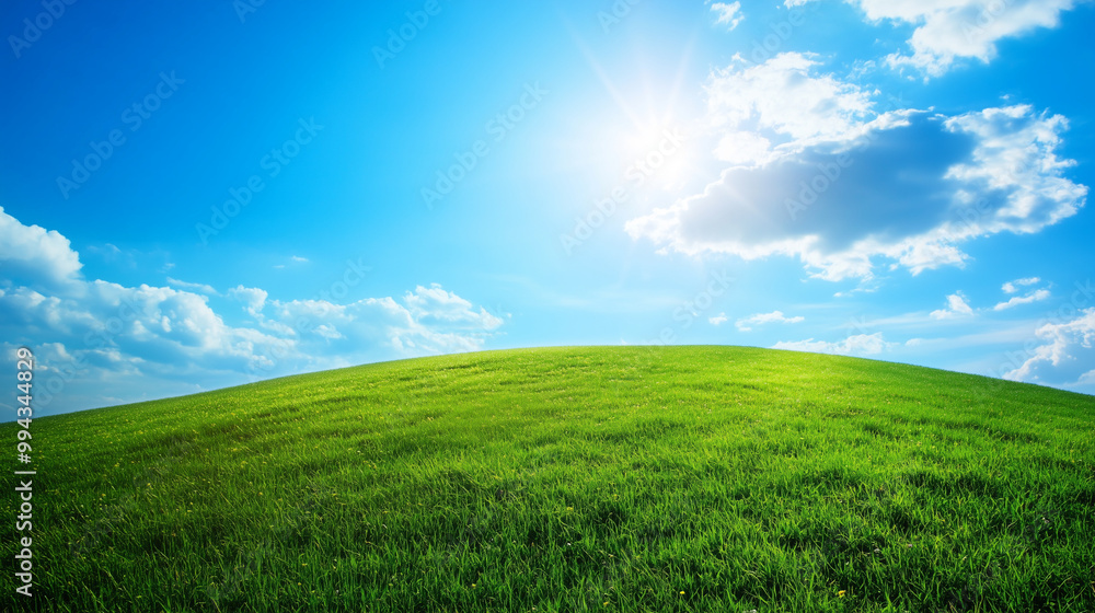 Bright sunny meadow with blue sky and fluffy clouds Bright sunny meadow with blue sky and fluffy clouds