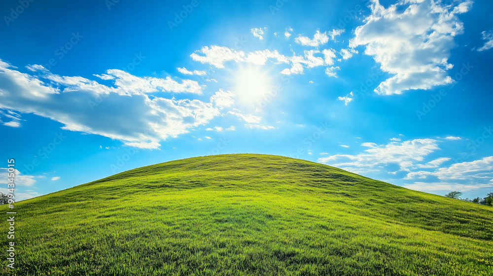 Obraz premium Sunny green field with bright blue sky and clouds