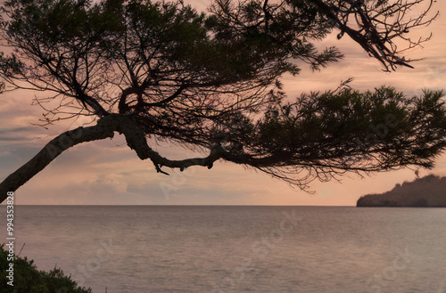 Mallorca,