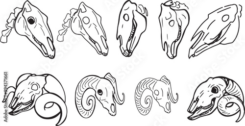 Set Line Halloween Clip art llustration animal skull Ink linear drawing western style coloring. Modern minimalist print design element dead creature contour deceased cattle ram skull outline sheep cow