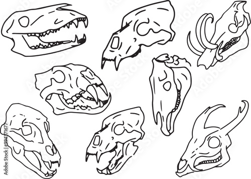 Set Line Halloween Clip art llustration animal skull Ink linear drawing western style coloring. Modern minimalist print design element dead creature contour deceased cattle ram skull outline sheep cow