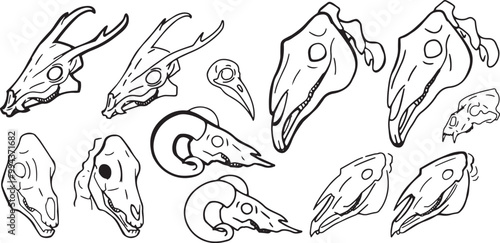 Set Line Halloween Clip art llustration animal skull Ink linear drawing western style coloring. Modern minimalist print design element dead creature contour deceased cattle ram skull outline sheep cow