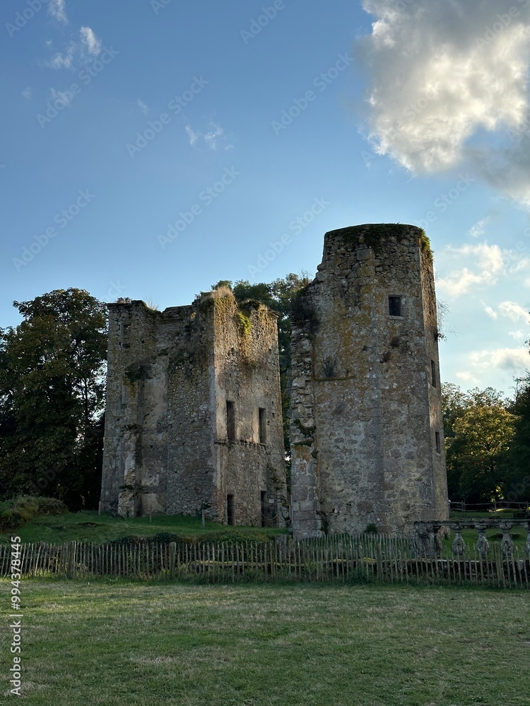 Château de la Durbelière à Saint-Aubin-de-Baubigné Château de la Durbelière à Saint-Aubin-de-Baubigné