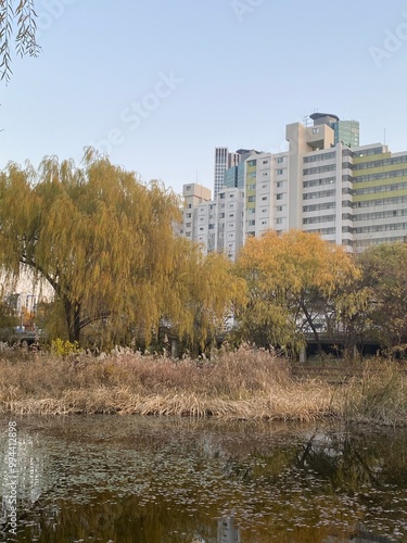 autumn in the park