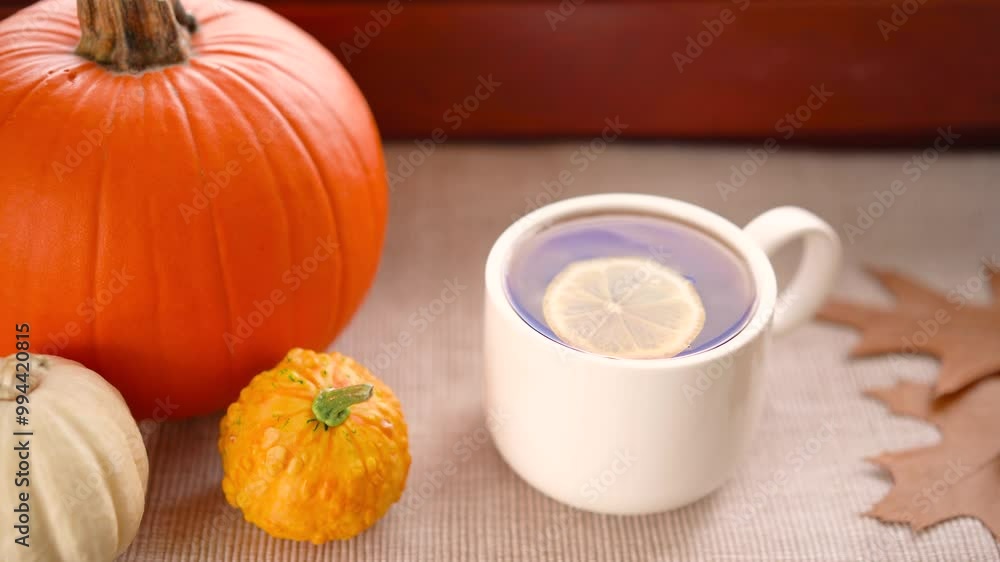 A cup of tea with lemon and pumpkins create a cozy atmosphere at home on a warm autumn day. comfort, cooking. 4k footage
Aromatic tea party. Hot tea with lemon, warm colors and cozy autumn atmosphere A cup of tea with lemon and pumpkins create a cozy atmosphere at home on a warm autumn day. comfort, cooking. 4k footage
Aromatic tea party. Hot tea with lemon, warm colors and cozy autumn atmosphere