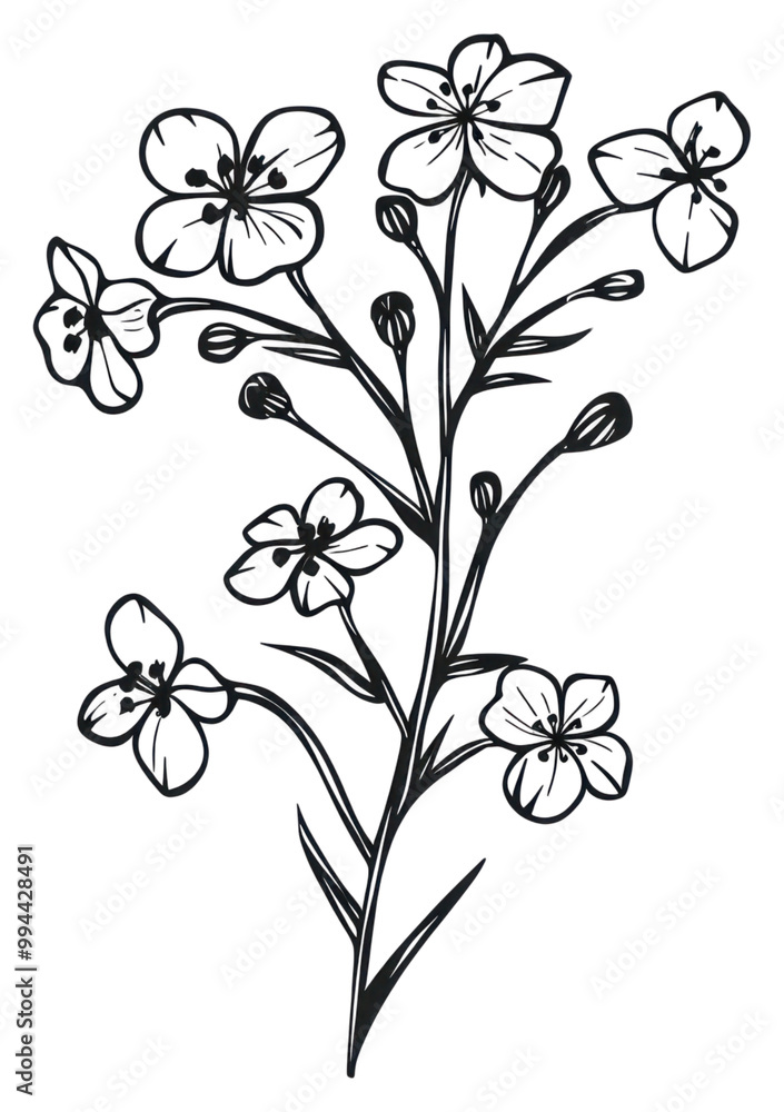 PNG Elegant black floral line art PNG Elegant black floral line art