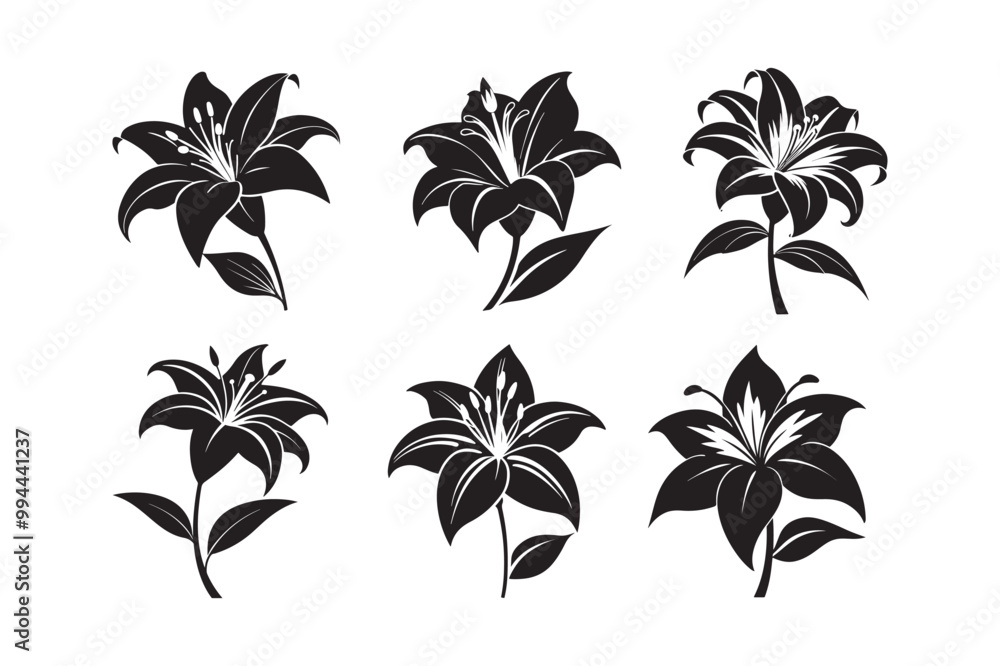 Lily silhouette vector Lily silhouette vector