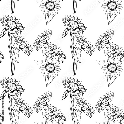 Seamless Pattern with Flowers Sunflowers in line art style. Vector Autumn ornament with chamomile painted by black inks. Hand Drawn engraving Bouquet of daisies for wallpaper. Sketch outline