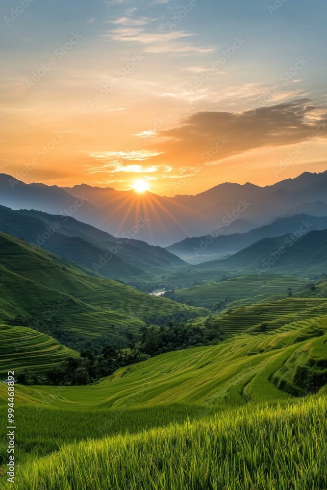 Fototapeta premium Sunset over lush terraced rice fields in mountainous landscape with vibrant sky