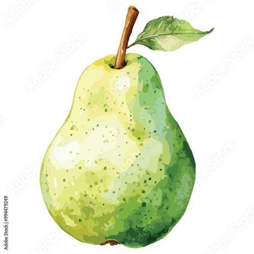 pear watercolor illustration vector isolated on white background