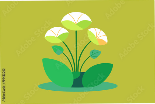  Water Frogbit plant vector art illustration photo