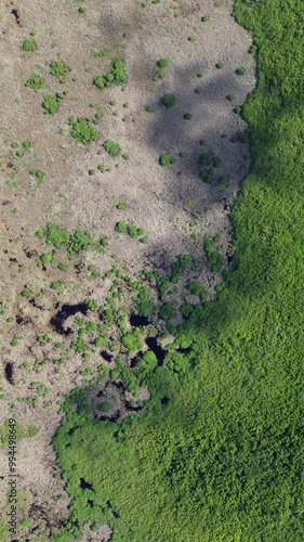 4k aerial footage mexico riviera maya mangroove vertical