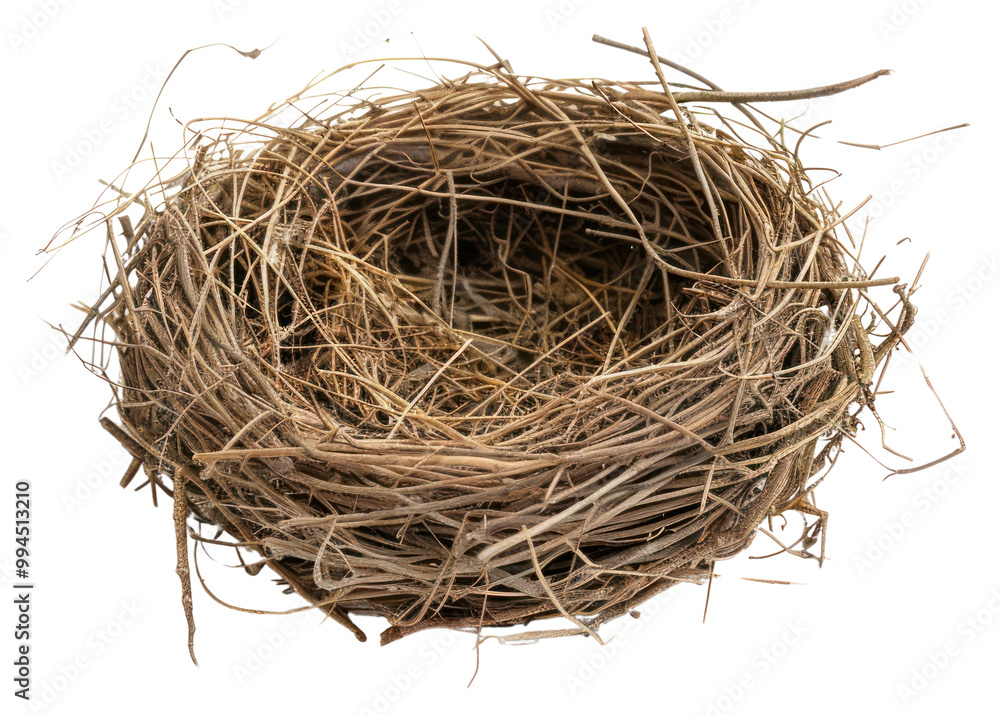 PNG Empty bird nest on white PNG Empty bird nest on white