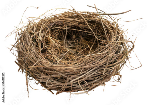 PNG Empty bird nest on white