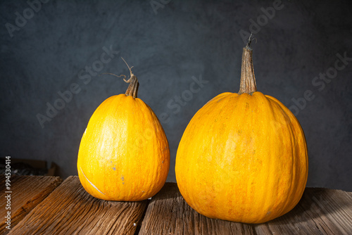 halloween pumpkins ready for carving photo