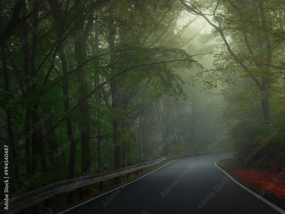 Fototapeta premium Creepy mysterious green foggy forest during autumn day with asphalt road and green foliage